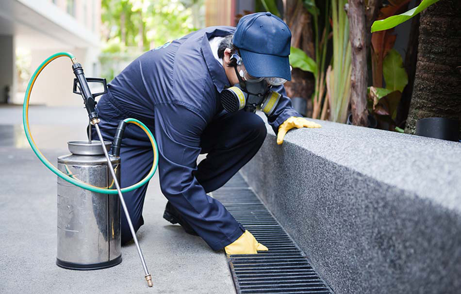 A man in a blue uniform, a specialist in hygiene and pest control, sprays a concrete wall.